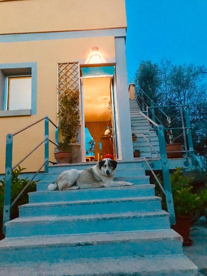 Le Palombelle Casa Vacanze Οτράντο Εξωτερικό φωτογραφία
